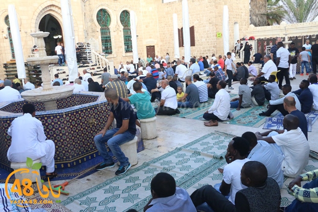 7san bek salahai (80).JPG